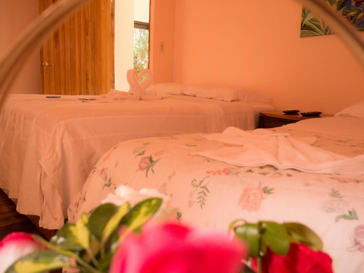 Monte Los Lirios Lodge Monteverde Екстериор снимка